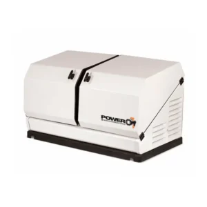 Газовый генератор POWERON GGC9000
